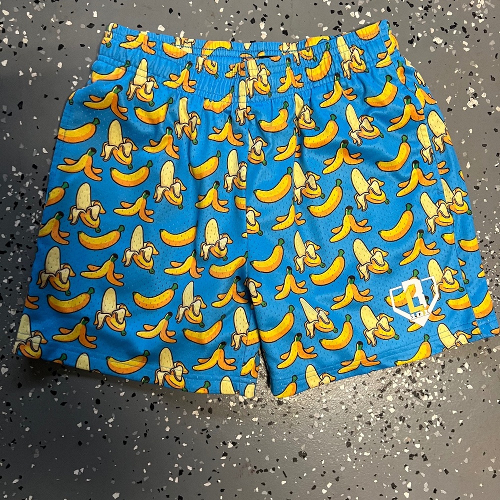 Baseball Lifestyle Youth Shorts (Size Large/12)